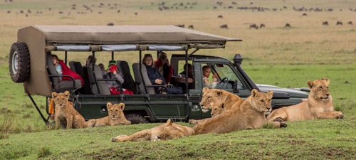 Maasai Mara secret season